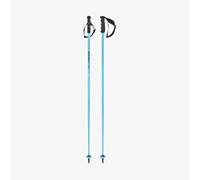 HEAD Worldcup SL Bastones de esquí, Unisex, Speed Blue/Black/White, 125