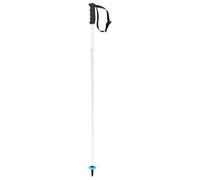 HEAD Worldcup SL Jr Bastones de esquí, Unisex Youth, Blanco/Negro/Azul Velocidad, 110