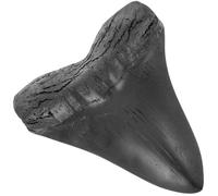 HEALEEP Decoración de Dientes de Megalodón en Resina, Réplica Gigante de Diente de Tiburón, Modelo Realista para Colección y Práctica Docente, Adorno Prehistórico Educativo