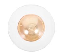 HEALEEP Pantalla de Lámpara de Techo Globo de Vidrio Lechoso Redondo 10 Cm Diámetro G9 para Lámpara Colgante Pantalla de Repuesto para Ventilador de Techo de Araña Luz Cálida