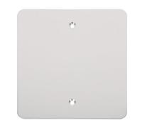 HEALEEP Placa Frontal de Salida Ciega en Acero Inoxidable Tipo 120, Cubierta Metálica para Enchufes en Paredes, Instalación Sencilla para Uso Residencial