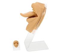 Healeved 1 Juego Modelo de uña de lengua Práctica de perforación de boca falsa nariz de exhibición de joyería maniquí Maqueta de boca de simulación del cuerpo modelo de cara de lengua