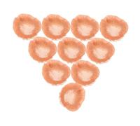 Healeved 10piezas Bolsa De Redecilla Pelo Redes Elásticas Cabello Reutilizables Para Bailarinas De Ballet Accesorios De Malla Cabello Cubiertas De Malla Para Moño El Diario