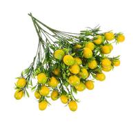 Healeved 3 Piezas Ramo de Limón Artificial con Hojas Verdes de Plástico y Espuma para Decoración Versátil en Hogar y Ventana, Resistente Deformación para Fiestas
