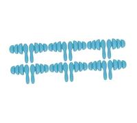 Healeved 6pares Auriculares Impermeables y Prueba De Ruido De Para Creativos Para Sueño El Estudio Piscina Color Azul