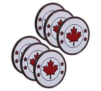 Healeved 6Piezas Pin de Bandera de de Broches de Pin de Decorativo para Temáticas y Atuendos Casuales para Maestros y