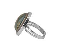 Healeved Anillo Termocrómico Unisex De Plata De Ley Anillo Ovalado Que Cambia De Color Estado De Ánimo Para Ocasiones Especiales