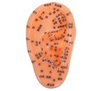 Healeved De Oído Para Acupuntura y Masaje Ear Acupoint Pressure Zones Para Práctica