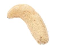 Healeved Esponja de Baño de Lufa Natural para Ducha 25-35 Cm Exfoliante Corporal Estimulante Circulación Suave para Sensible Uso Diario en Baño