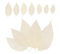 Healifty 100 Hojas Secas De Magnolia Esqueleto De Hojas Naturales Para Diy Manualidades MarcapáGinas DecoracióN Tarjetas De FelicitacióN Arte MultifuncióN