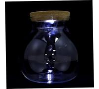 Healifty Botella Ecológica de Vidrio Borosilicato 1 Litro con Luz LED, Mini Pecera Transparente para Micropaisaje DIY, Jarrón Decorativo Hidropónico para Jardinería y Decoración