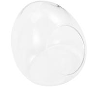 Healifty Botella Ecológica para Micropaisajismo DIY, Recipiente de Vidrio Transparente en Forma de Huevo Grande (15x17 Cm), Contenedor para Musgo y Plantas Suculentas, Terrario