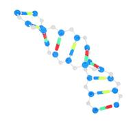 Healifty de ADN de Doble para Educación Genética y Biología Molecular Kit Didáctico para Aulas y Herramienta Visual Interactiva para Estudiantes