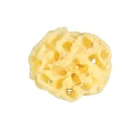Healifty Esponja de Baño Natural para Bebés y Adultos Biodegradable Antialérgica y Exfoliante para Ducha y Cuidado Piel