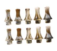 Healifty Juego de 10 Boquillas de Resina para Hulusi en Clave B/c, Repuesto para Flauta de Calabaza, Accesorios para Instrumentos Folclóricos y Música Étnica