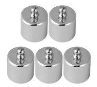 Healifty Pesas de Calibración 100 G M2 Chapadas de Acero 5 Piezas para Balanzas Digitales Calibrar Precisión Uso Escolar Laboratorio