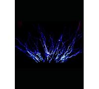 Healing in Your Hands: A Self-Tracking Journal for Improving Health with Simple Daily Habits