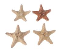 HEALLILY Resina Estrella de mar Ornamento Tropical Playa océano mar decoración lápiz Dedo Concha de mar para Accesorios de fotografía del Banquete de Boda 4 Piezas