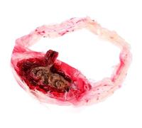 HEALSOPTHY Adorno Aterrador para Halloween Cinturón Intestino Grueso Realista, Accesorio Broma para Fiesta, Decoración Espeluznante para Casas Encantadas y Suministros de Halloween