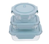 HEALSOPTHY Fiambrera de Vidrio 3 Piezas Diseño Elegante, Apta para Microondas y Almacenamiento Conveniente, Adecuado para Trabajo y Reuniones