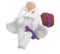 HEALSOPTHY Modelo Anatómico de Pelvis Femenina Compacto para Educación Prenatal Feto, Cordón Umbilical y Placenta - Simulador del Proceso de Nacimiento para Formación Clínica y Escuelas