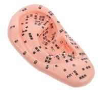 HEALSOPTHY Modelo De Acupuntura De Oído Preciso Para Reflexología y Entrenamiento Tcm Display De Puntos Acupunturales De Oído Para Masaje y Formación Profesional