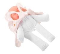 HEALSOPTHY Pelvis para Enseñanza de Parto con Demostración Práctica para Educación Científica y Formación Médica