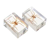HEALSOPTHY Pisapapeles De Resina Transparente Insectos Preservados, 2 Piezas De Arañas Peludas, Decoración Artesanal Para Escritorio y Muestra Educativa Científica