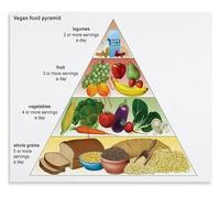 Healthy Eating Nutrition Food Pyramid Educational Poster Guide for Kitchen Wall Chart School Classroom Home Decor(Framed,16x24inch(40x60cm))