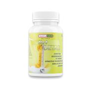 Healthy Fusion No+Dietas | Potente quemagrasas para adelgazar | L-Carnitina + Té Verde + Extracto de Frambuesa | Adelgazante, reductor del apetito y termogénico | Pierde peso de forma eficaz 90u
