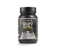 Healthy Fusion Whey Protein | Proteína whey pura con Colágeno + Magnesio | Tonifica y aumenta la masa muscular | Mejora tus entrenamientos | 1000g de proteína (Vainilla)