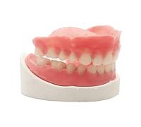 Healthyare Juego completo de dientes falsos superiores e inferiores para mejorar la sonrisa