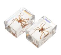 Healvian 2 Piezas de Sujetalibros de Resina Transparente Insectos Decoración Multifuncional para Interiores Muestra de Arañas Peludas en Resina para Colección Educativa y Decoración