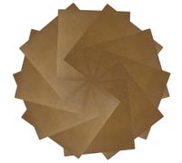 Healvian 20piezas Calcomanías Aislantes para Rizador de Cabello Calcomanías Adhesivas para Plancha de Pelo para Protección Térmica Salón