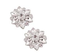 Healvian Clips Delicados para Zapatos de Mujer Cristales y Gemas de Imitación, Accesorios Decorativos Plateados, Diseño Desmontable para Bodas y Fiestas,