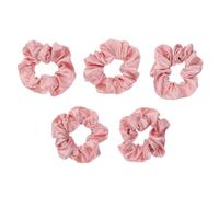Healvian Coleteros Elásticos de Satén 5 Piezas Rosa N.° 104 Tamaño Mediano Lazos Pelo Mujer Niña Soporte Coleta Uso Diario Accesorios para Cabello Suave y Resistente