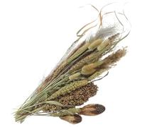 Healvian Manojo Ramo Artificial Rústico de Sorgo y Caña de Flores Secas Arreglo Floral para Decoración del Hogar para Salón y Restaurante para Jarrón