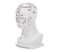 Healvian Modelo de Acupuntura de Cabeza de Modelo de Puntos de Acupuntura Facial para Masaje de Cabeza Material de Alta Definición para Enseñanza de Puntos