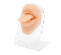 Healvian Modelo de boca botón Brillantina muestra el modelo de lengua dispositivo mostrar Piercing practica partes del cuerpo modelo de entrenamiento para perforar la lengua gel de sílice