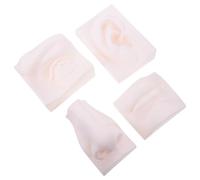 Healvian Modelo Didáctico de Órgano Sensorial de Pvc Irrompible, Conjunto de 4 Piezas para Dibujo y Boceto, Tamaño Compacto, Color Natural, Herramienta Práctica para Arte y Escultura