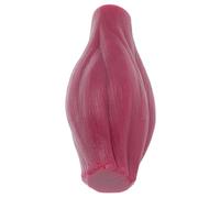 HEANUJJ Modelo de Músculo del Cuerpo Humano de 1 Libra sin Base para Enseñanza y Práctica en Fitness Material Resistente y Acabado Detallado