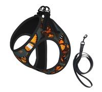 Heaps of Orange Monarch Butterflies - Juego de arnés y correa para perro, chaleco reflectante ajustable para cachorros pequeños, medianos y grandes y gatos