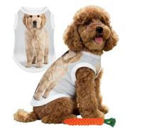 Hearda Chaleco de Refrigeración para Perro, Verano Chaleco de Enfriamiento para Mascotas Ligero y Transpirable Camisa Refrigerante para Cachorros Perros Pequeños Medianos Gatos (Cachorro 3D 1,L)