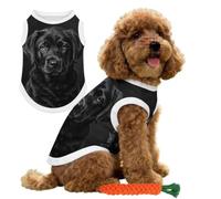 Hearda Chaleco de Refrigeración para Perro, Verano Chaleco de Enfriamiento para Mascotas Ligero y Transpirable Camisa Refrigerante para Cachorros Perros Pequeños Medianos Gatos (Cachorro 3D 11,S)
