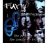 Hearing & The Sense of Balance by Fury in the Slaughterhouse