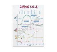 Heart Electrical Activity Poster ECG Wave Study Art