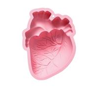 Heart Mold, Brain Mold, 6.42x5.08x1.26 Inches, Silicone Craft Moulds, Resin Candy, Creative 4-Cavity Flexible for Chocolate, Dessert, Wax, Clay, Soap, Home, Kitchen, Bakery, Event, Classroom, Party