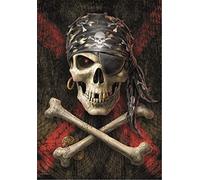Heart Rock Bandera Original Anne Stokes Pirate Skull, Tejido, Multicolor, 110 x 75 x 0,1 cm