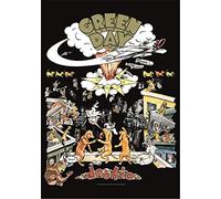 Heart Rock Bandera Original, Green Day Dookie, Tela, Multicolor, 110 x 75 x 0.1 cm