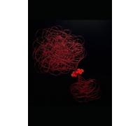 Heartstrings Across Horizons: Thus Spoke the Sage of Love (天心居士文集)